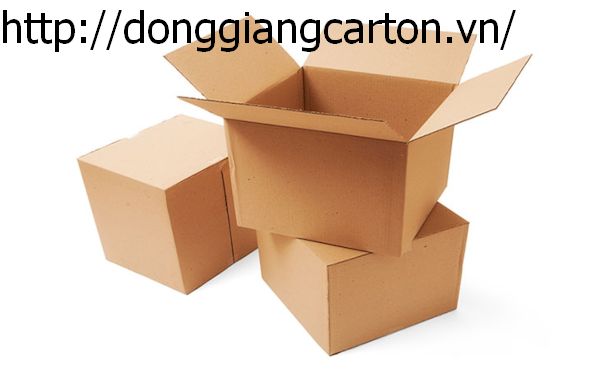 Thùng giấy carton - Bao Bì Đồng Giang - Công Ty TNHH Sản Xuất - Thương Mại In Và Bao Bì Đồng Giang